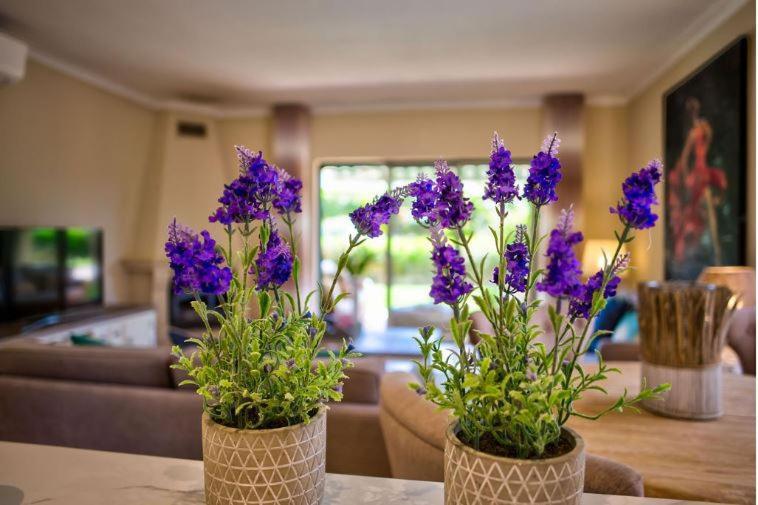 2Bedroom Bungalow Heated Shared Pool ,Near Carvoeiro And Ferrugudo Esterno foto